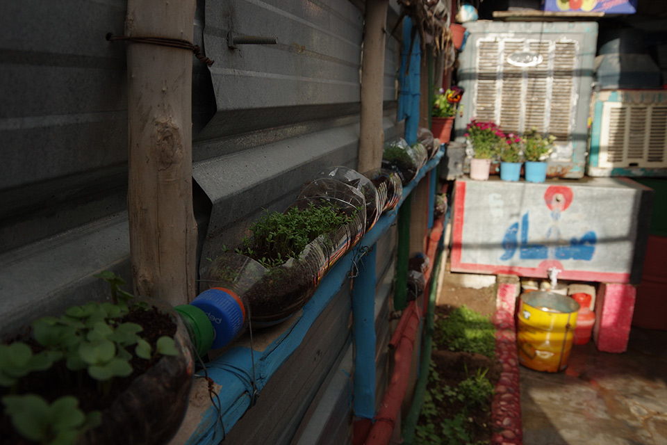 A row of half-cut plastic bottles filled with soil and seedlings is lined up alongside a corrugated metal wall, below them a narrow trough with more soil and plants. At the end of the row are some rusty metal storage cupboards with small plant pots filled with flowers.