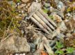 In this close-up image, three sets of four spent ammunition cartridges lie amongst stones, rubble, moss and wild plant seedlings.