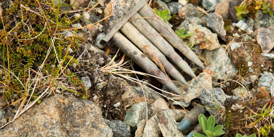 In this close-up image, three sets of four spent ammunition cartridges lie amongst stones, rubble, moss and wild plant seedlings.
