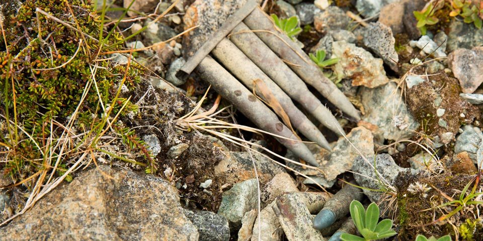 In this close-up image, three sets of four spent ammunition cartridges lie amongst stones, rubble, moss and wild plant seedlings.
