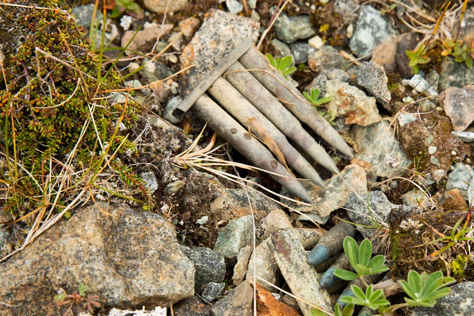 In this close-up image, three sets of four spent ammunition cartridges lie amongst stones, rubble, moss and wild plant seedlings.