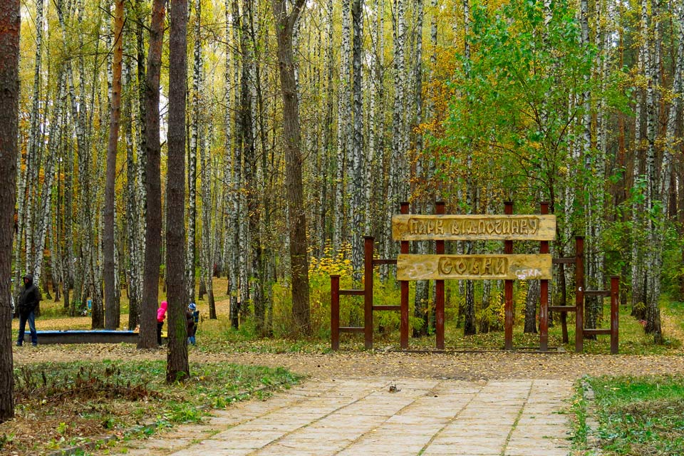 Children and adults stand amongst the trunks of dense birch and pine woods near to an elaborate timber and metal sign announcing the entrance to Sovky Park.