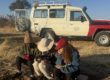 In the foreground three people site on stools, they are looking athe display from a screen attached to a drone remote control as part of a wildlife survey, behind them a long wheel base land rover 4x4 owned by the HALO Trust.