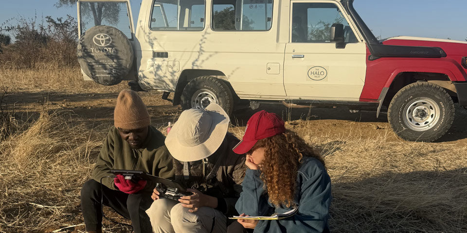 In the foreground three people site on stools, they are looking athe display from a screen attached to a drone remote control as part of a wildlife survey, behind them a long wheel base land rover 4x4 owned by the HALO Trust.