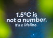 A still from a projection at the UNFCCC intersessional reads "1.5 degrees C is not a number, it's a lifeline. The background comprises bright green blobs, and stars on a navy blue background.